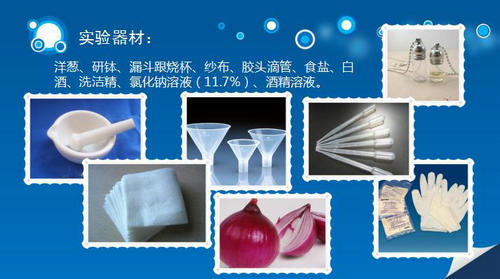 《DNA項鏈》帶你探尋生命的階梯