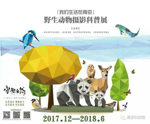 野生動(dòng)物攝影科普展“我們生活在南京”即將在南京科技館開(kāi)展