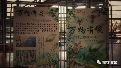 野生動(dòng)物攝影科普展“我們生活在南京”即將在南京科技館開(kāi)展