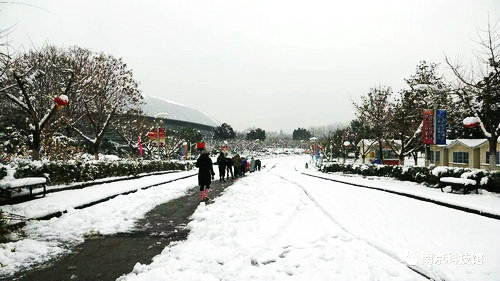 瑞雪兆豐年，勞動展風采——南京科技館開展掃雪活動