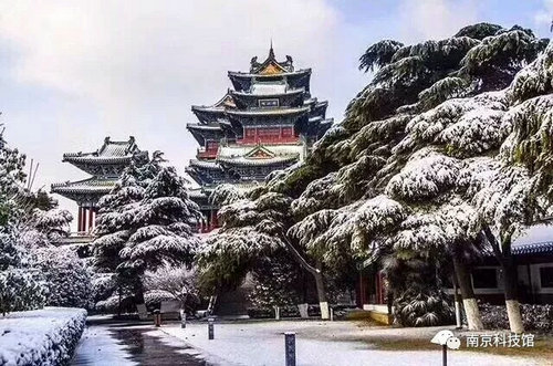 雪中的南京科技館,雪中的你們