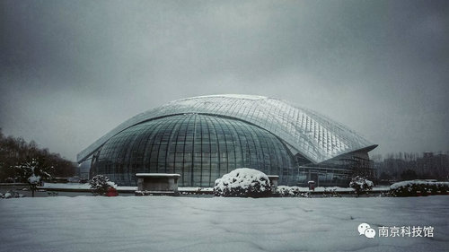 雪中的南京科技館,雪中的你們