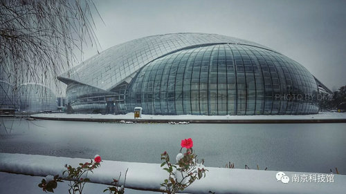 雪中的南京科技館,雪中的你們