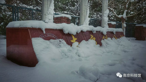 雪中的南京科技館,雪中的你們