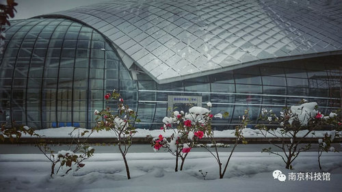 雪中的南京科技館,雪中的你們