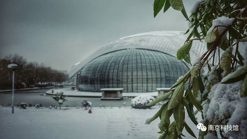 雪中的南京科技館,雪中的你們