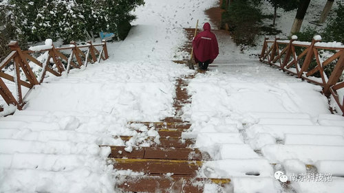 雪中的南京科技館,雪中的你們