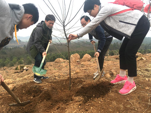 科技館支部赴溧水參加義務(wù)植樹暨紅色教育活動(dòng)