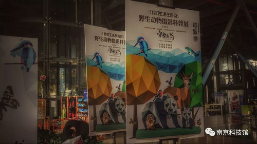 野生動物攝影科普展“我們生活在南京”