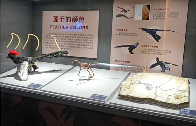 來(lái)一場(chǎng)穿越時(shí)空科考，南京科技館“恐龍大復(fù)活”特展已于1月30日正式開(kāi)幕