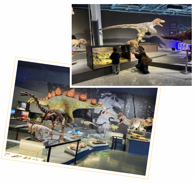 科技賦能年味 創(chuàng)新點(diǎn)亮新春——南京科技館新春系列活動(dòng)圓滿收官